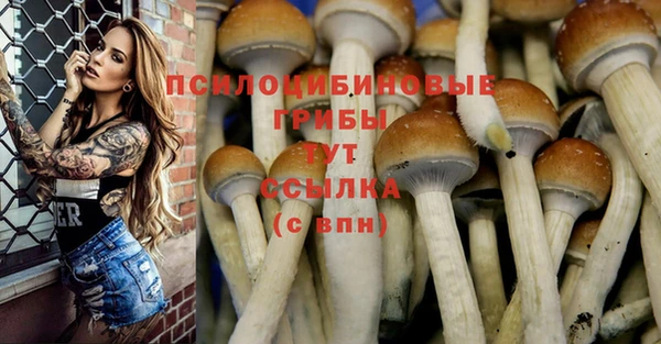 СК Аркадак
