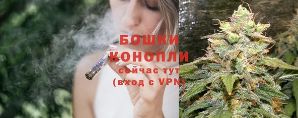 прущие крисы Армянск