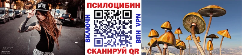 Псилоцибиновые грибы мицелий  сколько стоит  Дмитров 