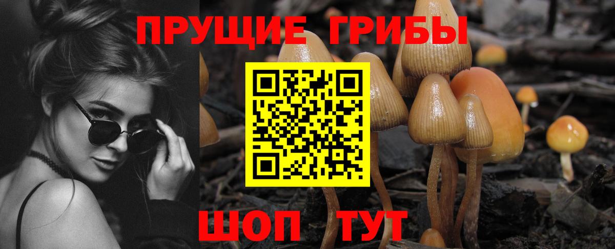Дмитров  Псилоцибиновые грибы Cubensis  Галлюциногенные грибы Psilocybe  цена   Вход с VPN 