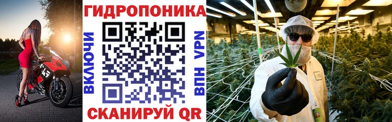 Бошки Шишки конопля  Дмитров 